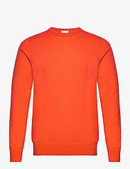 Davida Cashmere - Man O-neck Plain - basic knitwear - blood orange - 0