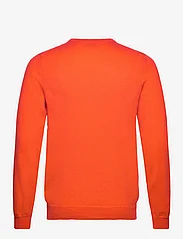Davida Cashmere - Man O-neck Plain - basic knitwear - blood orange - 1