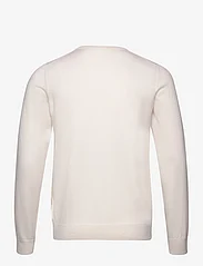 Davida Cashmere - Man O-neck Plain - megzti laisvalaikio drabužiai - white - 1