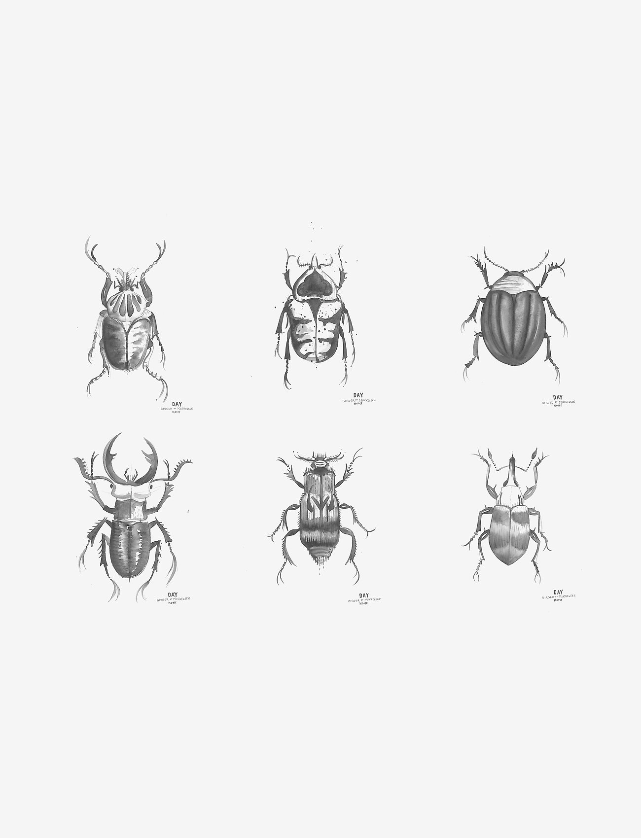 DAY Home - Day Poster Beetles, 6pcs sorted - illustratsioonid - white/ black - 0