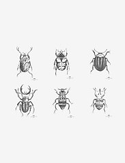 Day Poster Beetles, 6pcs sorted - WHITE/ BLACK