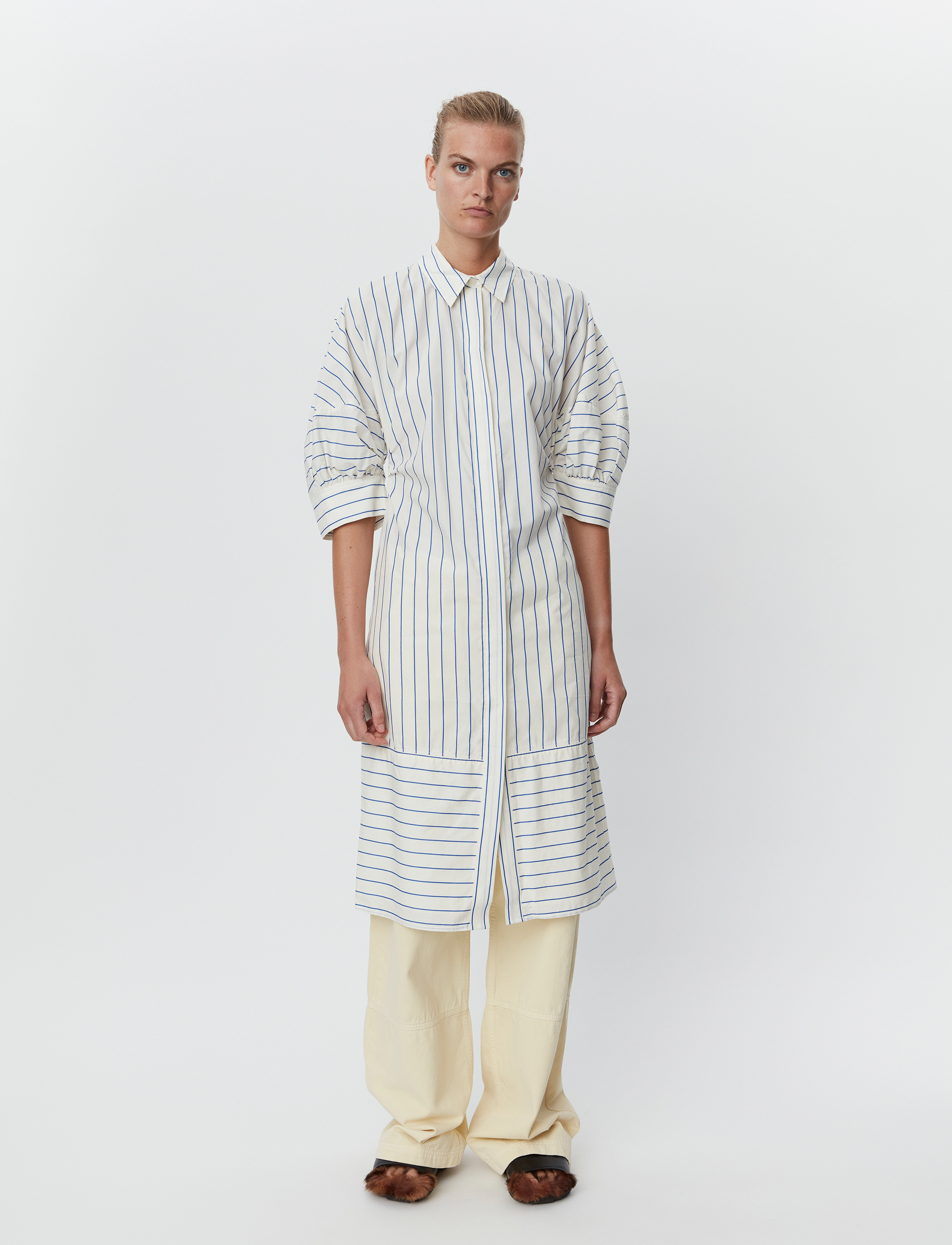Benedict - Daily Stripe - SURF THE WEB
