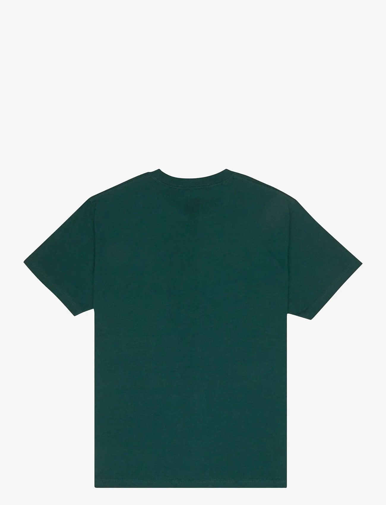 DC - DC STAR HSS - t-shirts - ponderosa pine - 2