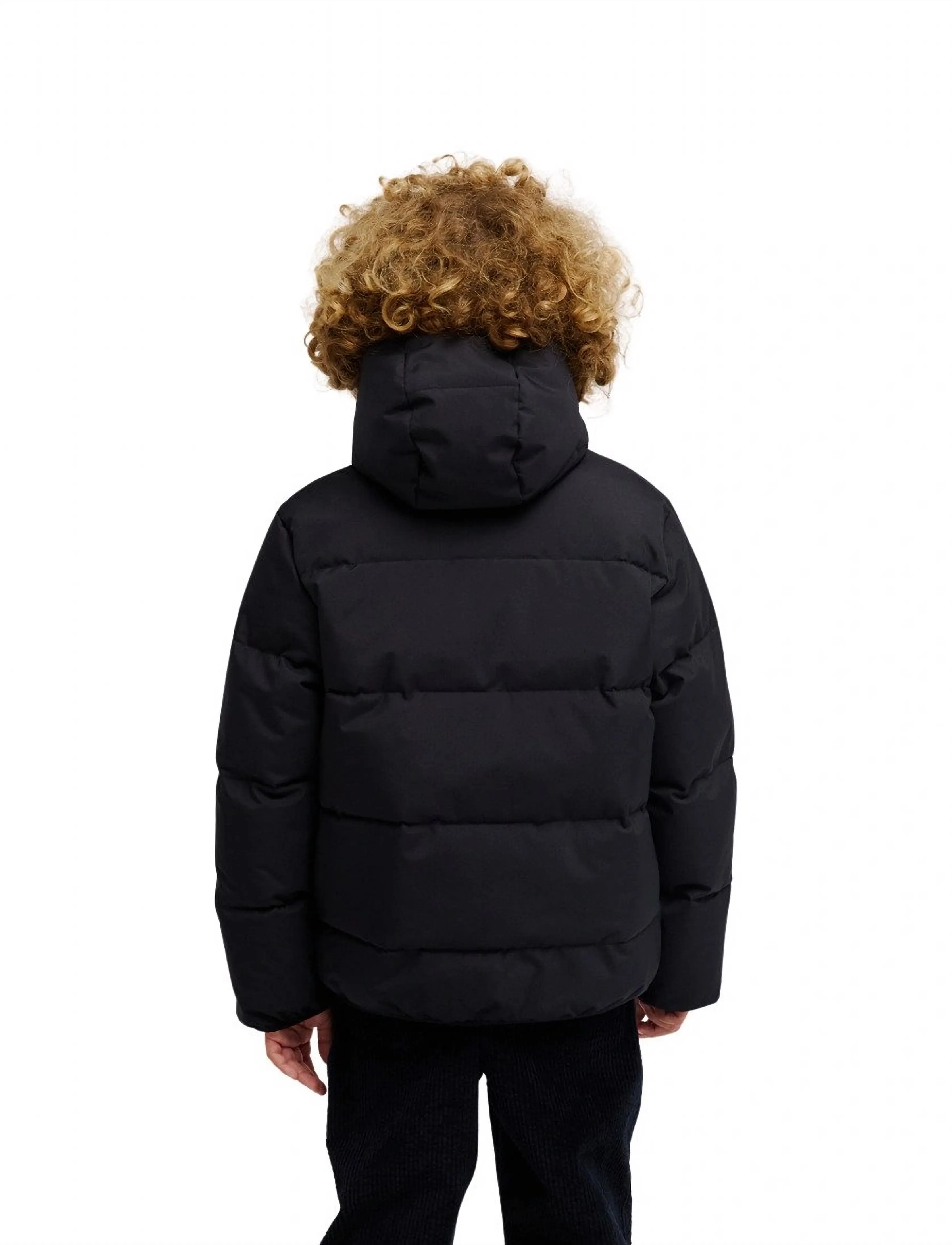DC - POLARCORE PUFFER YOUTH 10K - isolerade jackor - black - 3