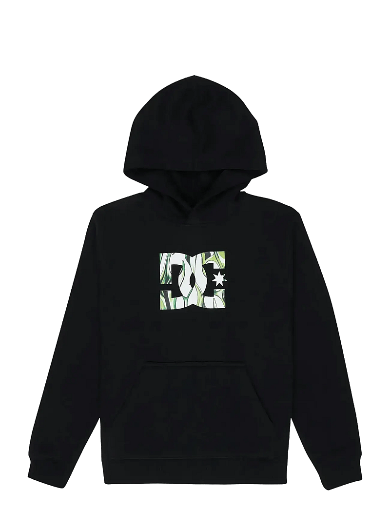 DC - DC STAR FILLED PH BOY - hoodies - black - 1