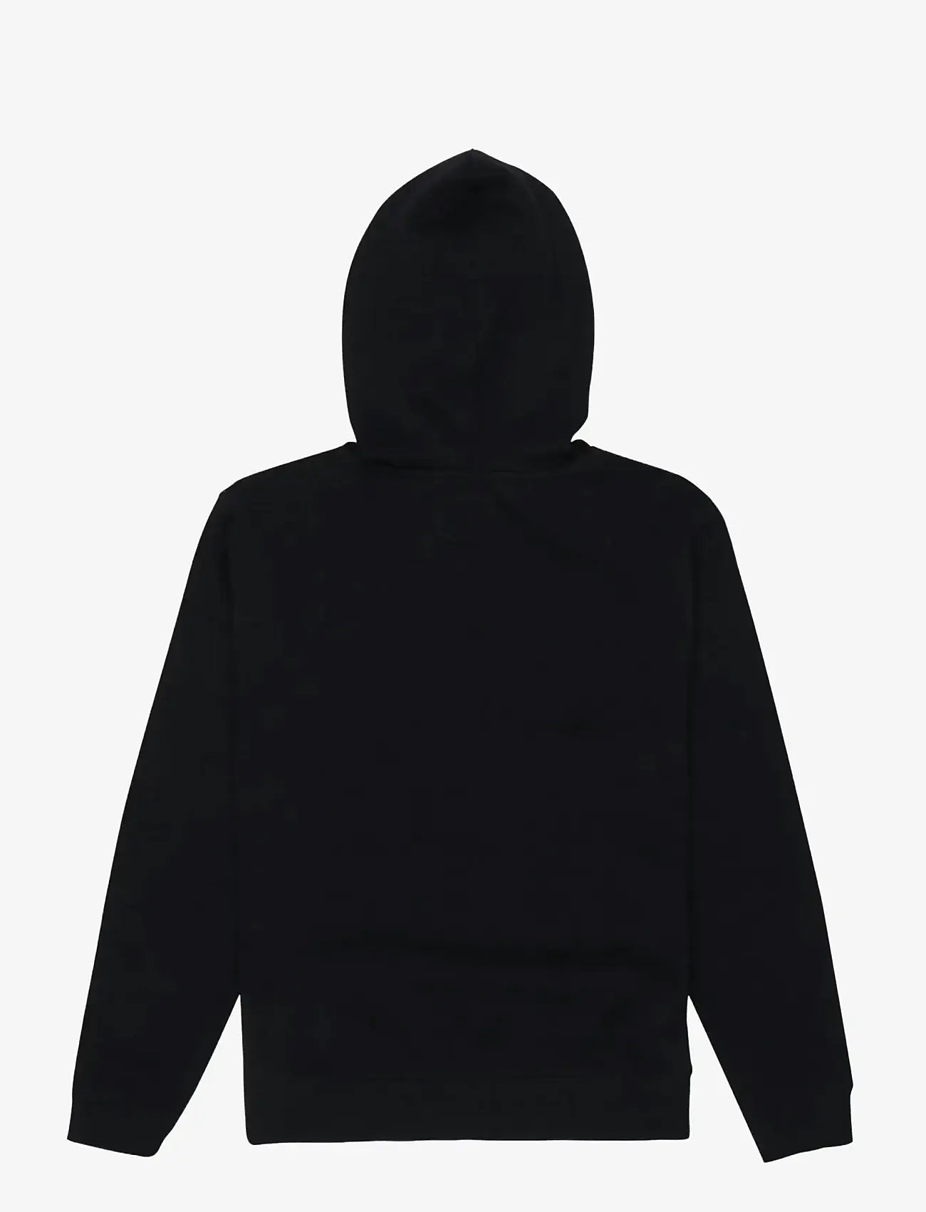 DC - DC STAR FILLED PH BOY - hoodies - black - 2