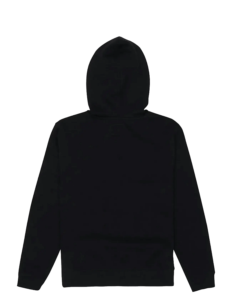 DC - DC STAR FILLED PH BOY - hoodies - black - 2