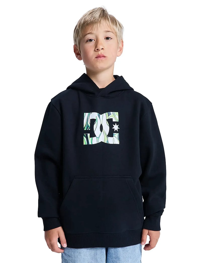 DC - DC STAR FILLED PH BOY - hoodies - black - 0