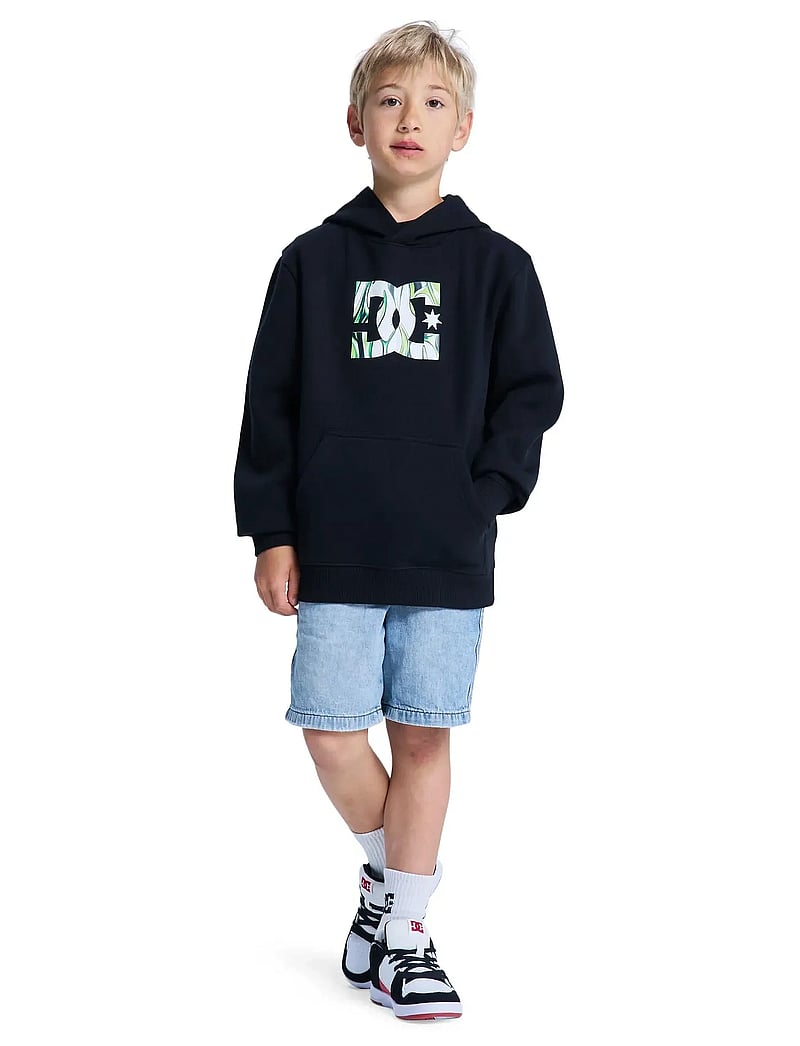 DC - DC STAR FILLED PH BOY - hoodies - black - 4
