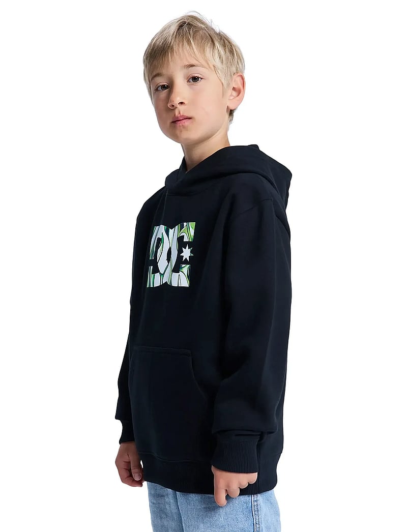 DC - DC STAR FILLED PH BOY - hoodies - black - 5