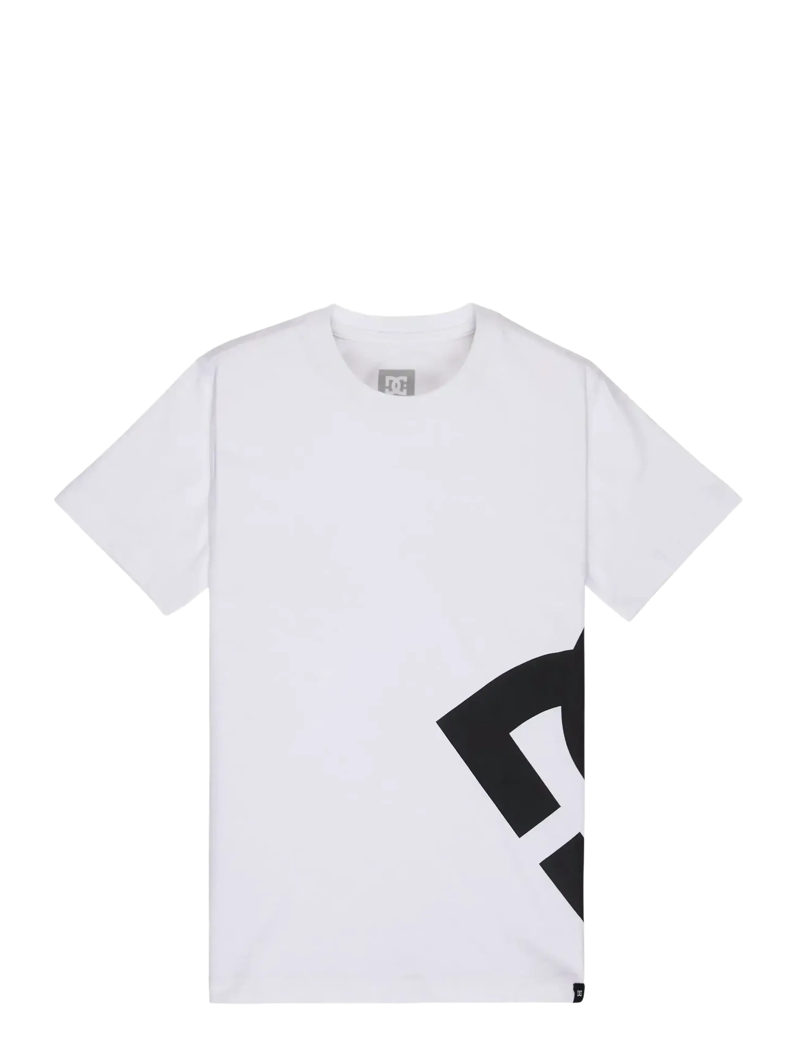 DC LANAI YOUTH HSS - Kleidung - WHITE / white