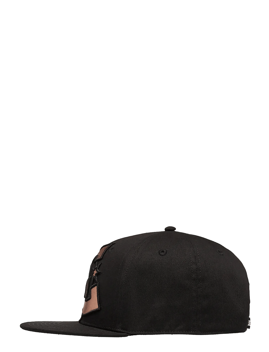 DC - DC DOUBLE THAT CAP - kappen - black tint - 2