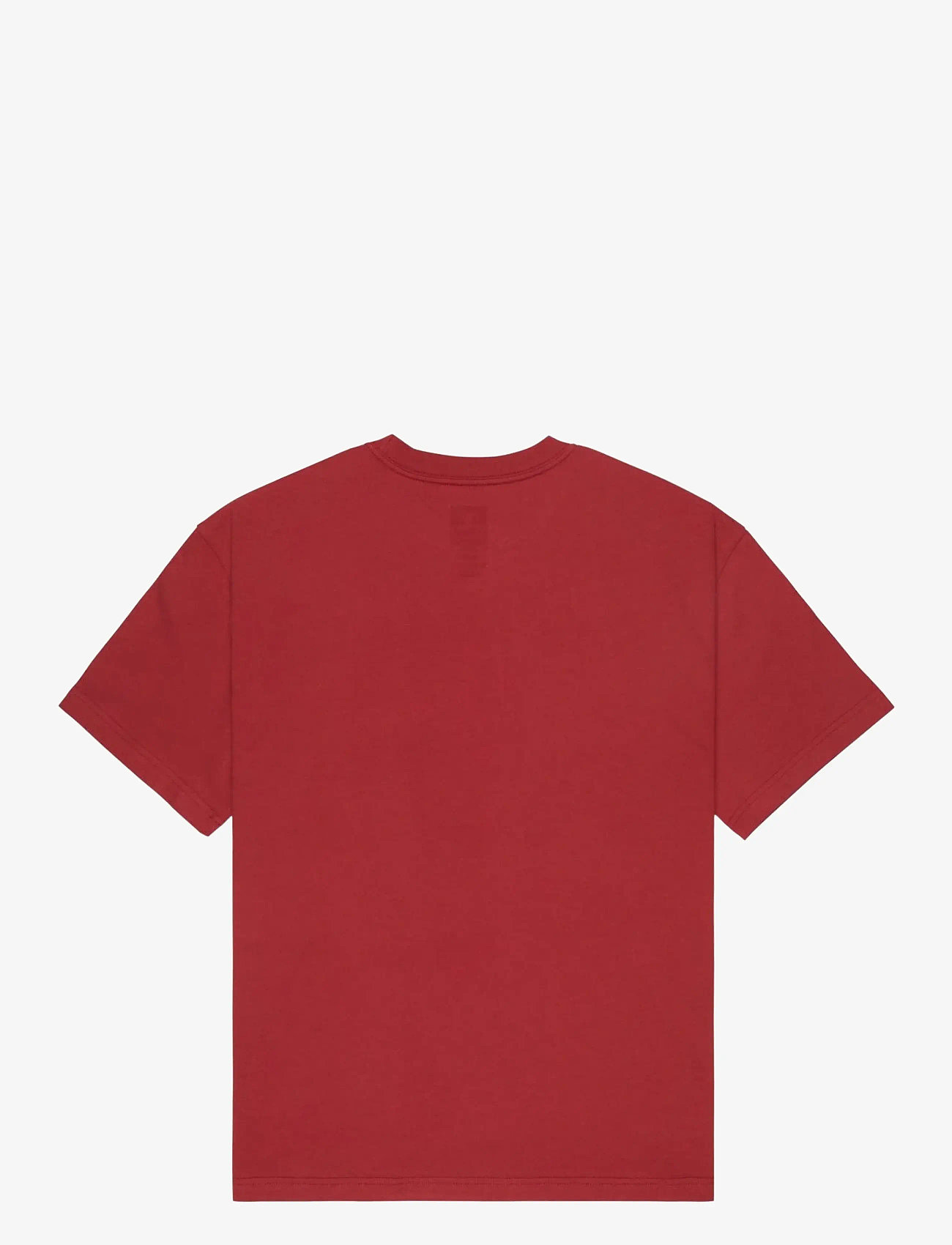 DC - ELECTIVE HSS - t-shirts - brick red - 2