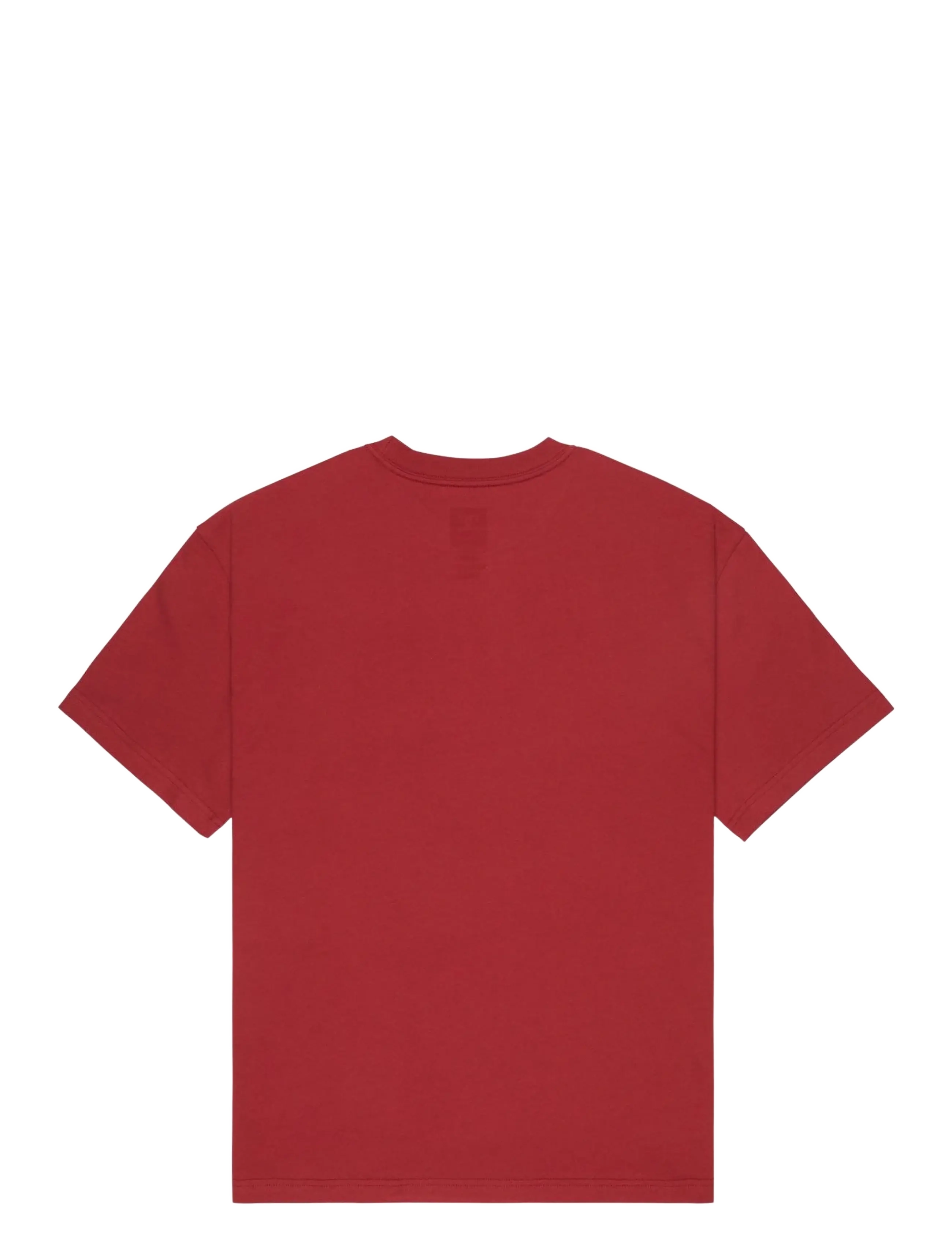 DC - ELECTIVE HSS - oberteile & t-shirts - brick red - 2