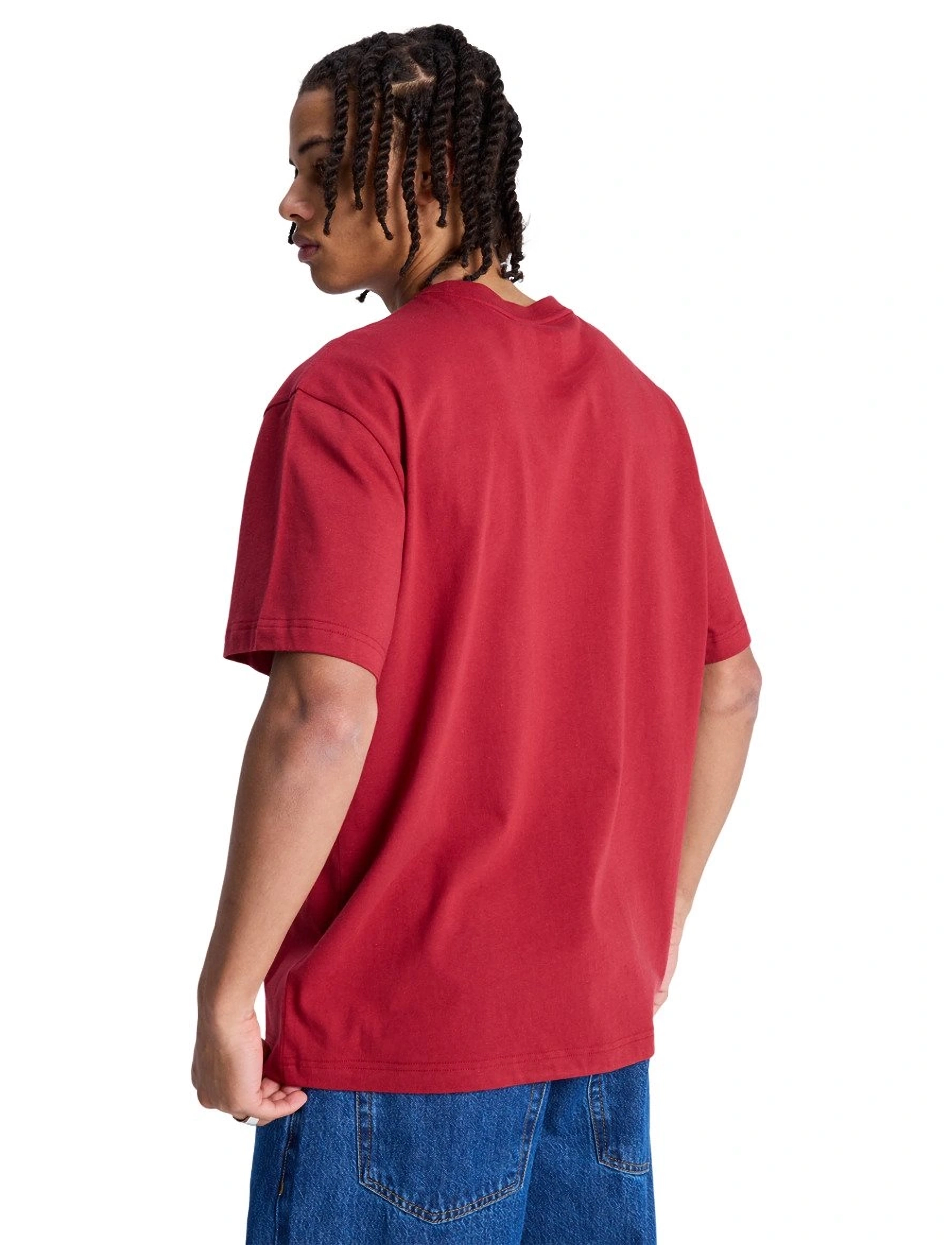 DC - ELECTIVE HSS - t-shirts - brick red - 3