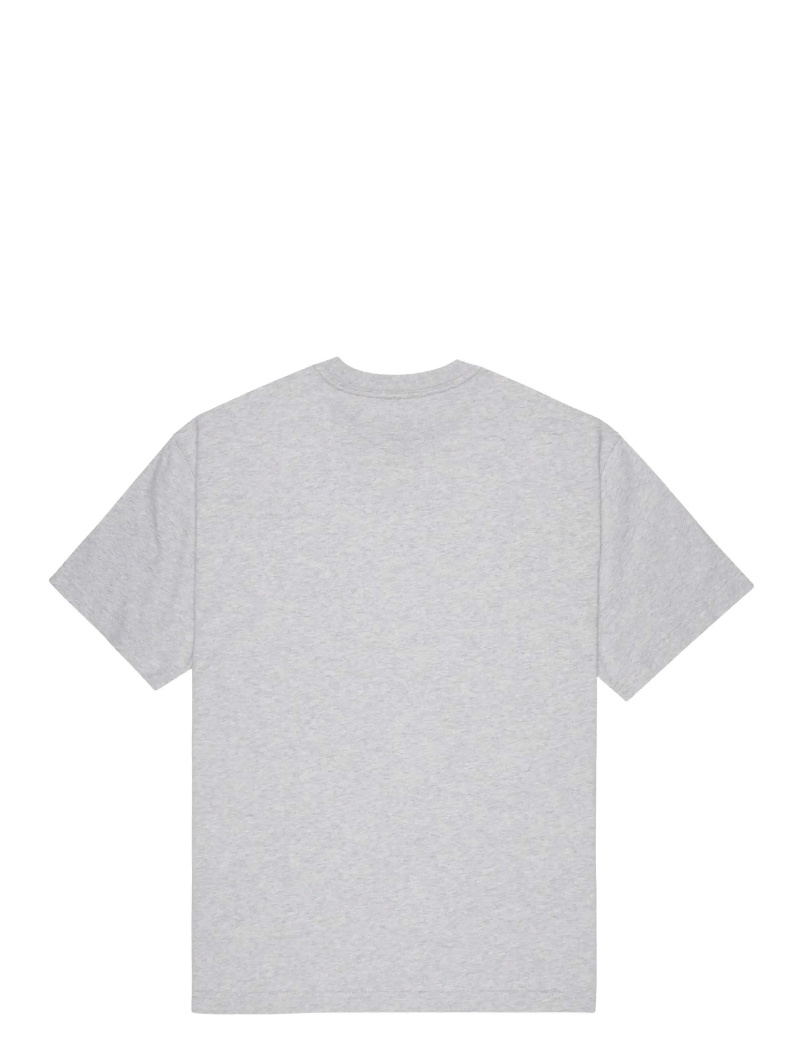 DC - ELECTIVE HSS - t-shirts - light heather grey - 2