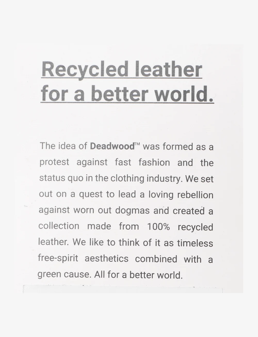 Deadwood - Phoenix - læderbukser - black - 4