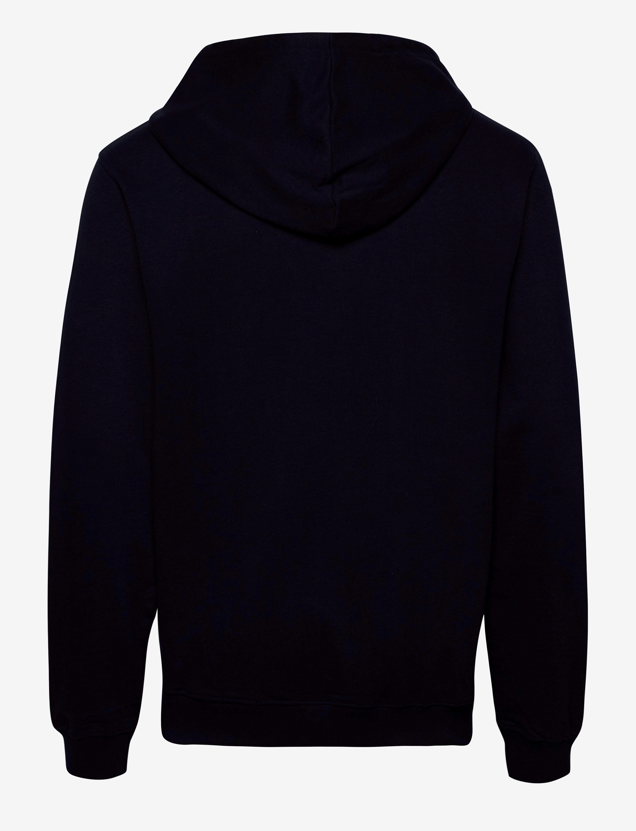 DEDICATED - Hoodie Falun GVO Felt - navy - 1