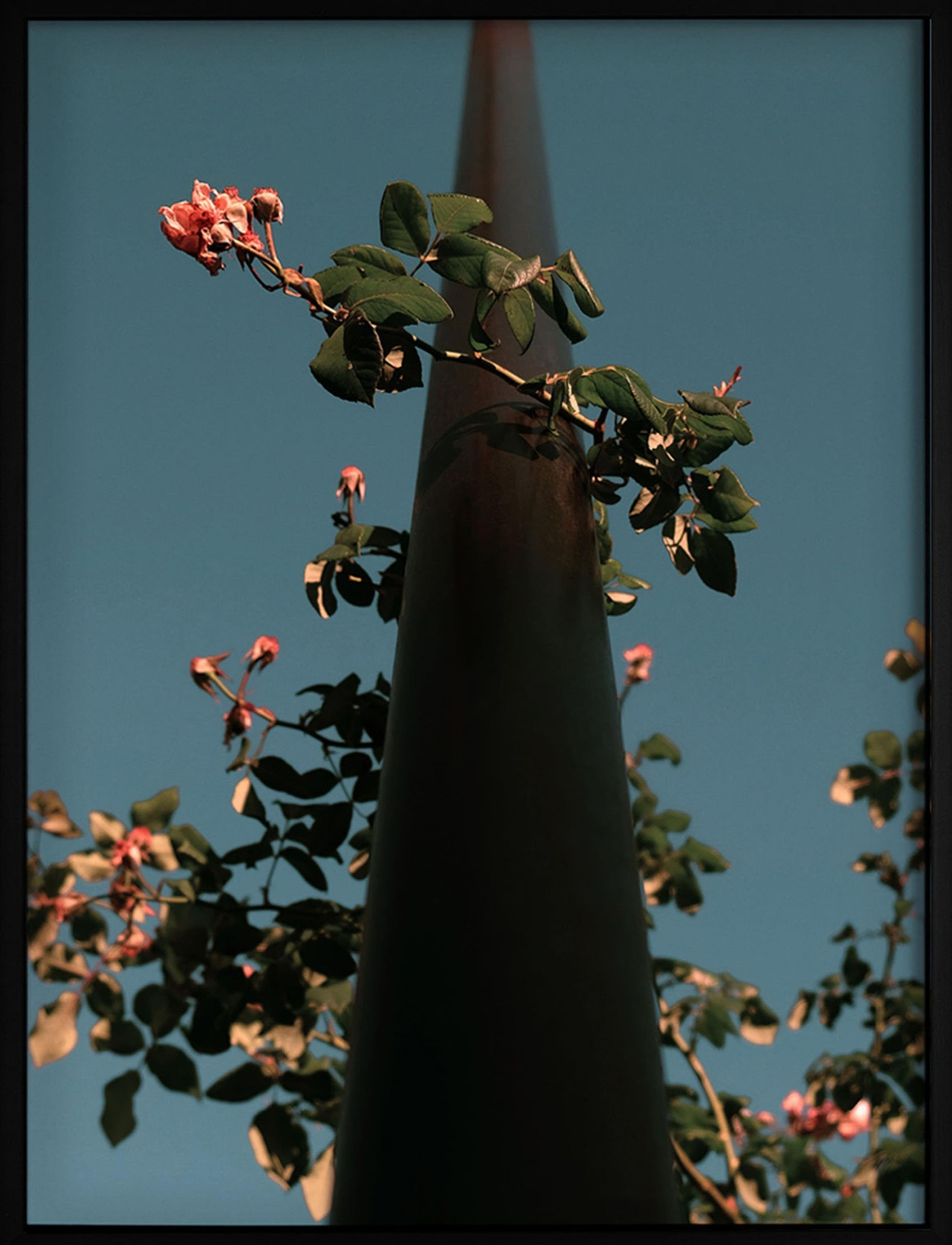 Poster Flowers - BLUE