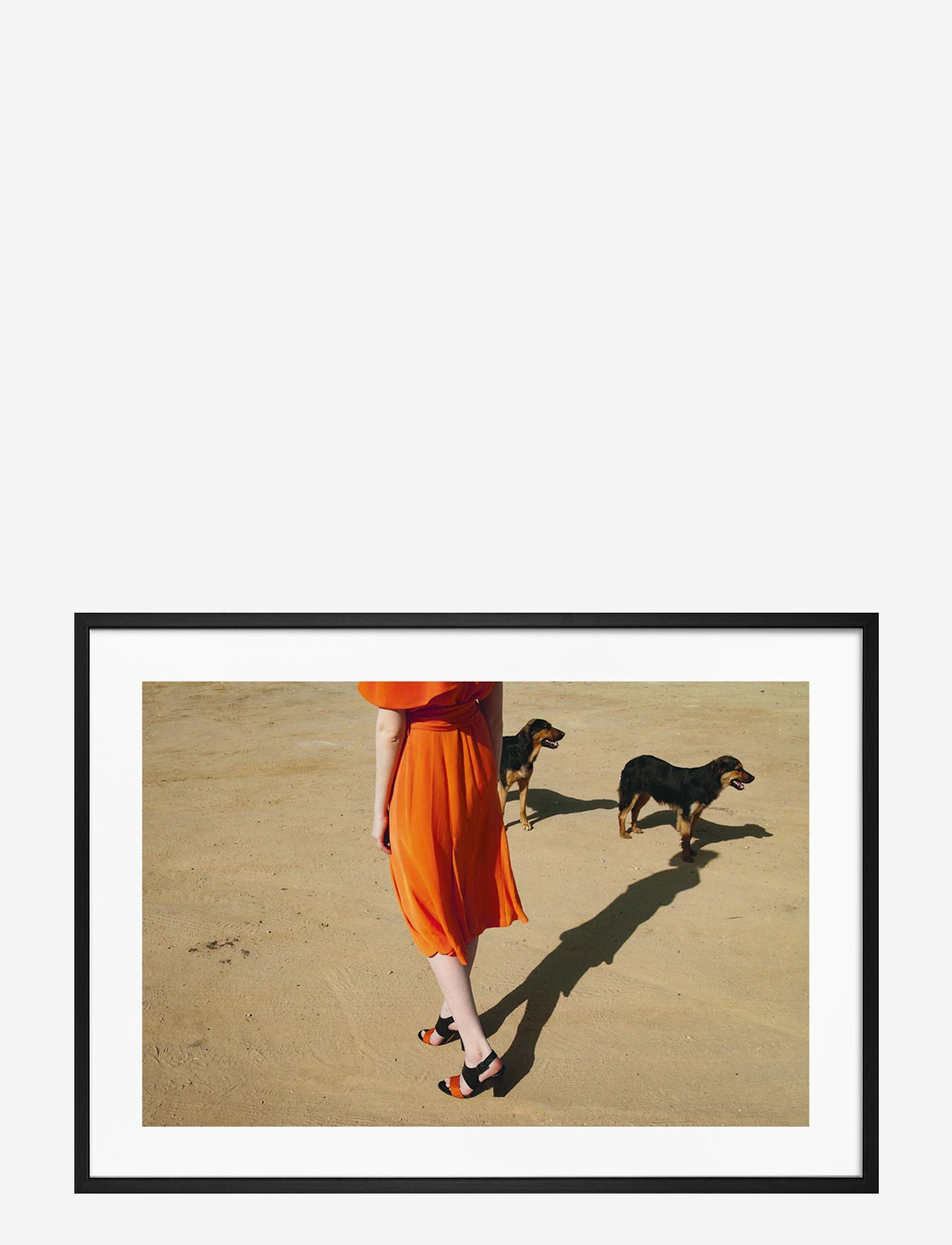 Democratic Gallery Poster Walking Dogs, 21X30, Posters, Orange - Photographs, Homeware