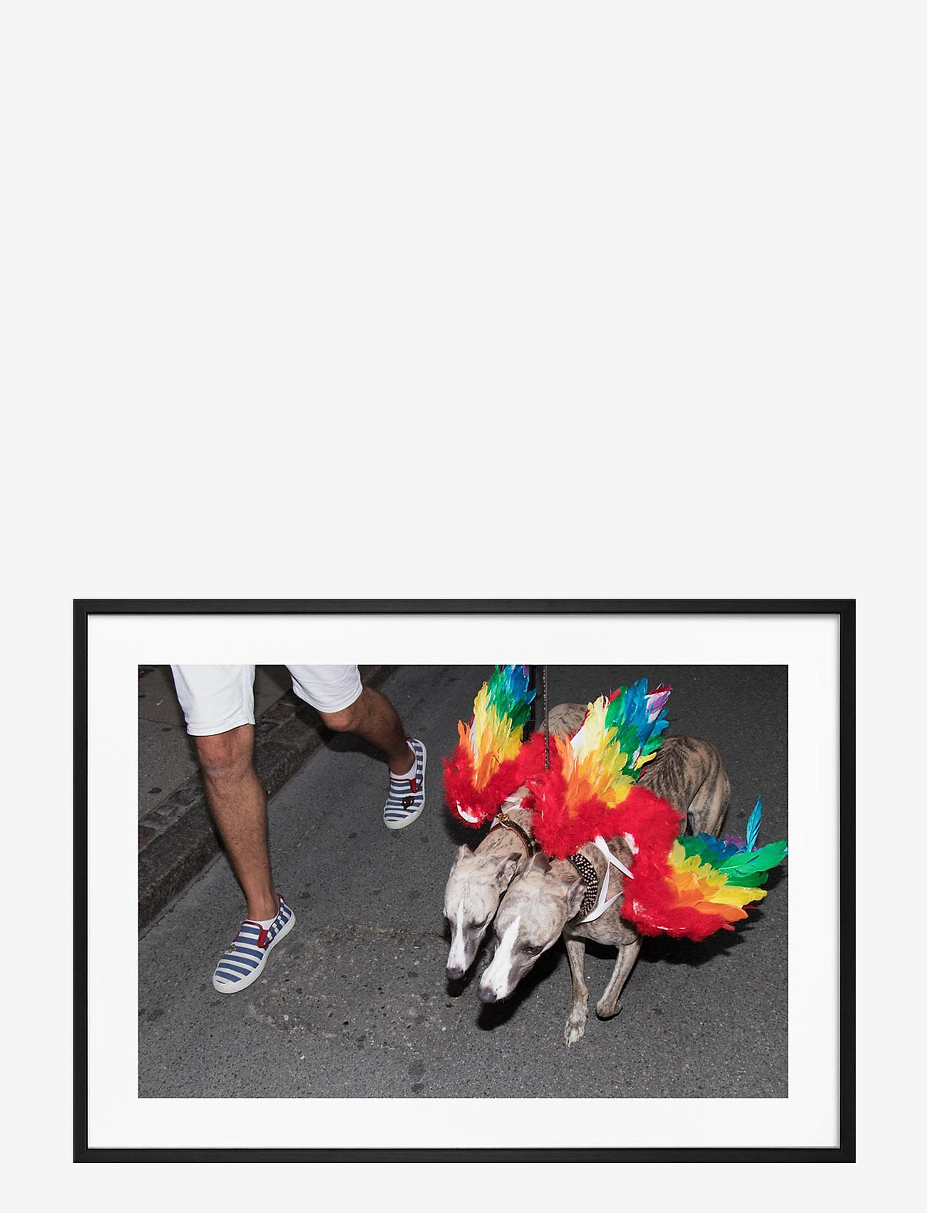 Democratic Gallery - Poster Rainbow Dogs - fotokonst - red - 0