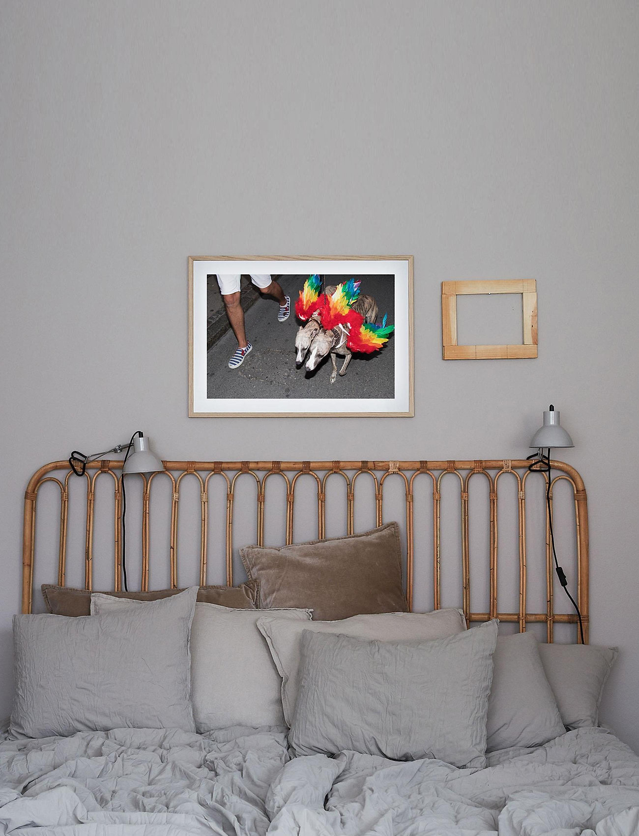 Democratic Gallery - Poster Rainbow Dogs - lowest prices - red - 1
