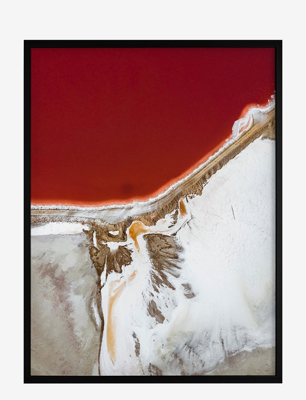 Democratic Gallery - Poster Earth and Nature - laagste prijzen - red - 0