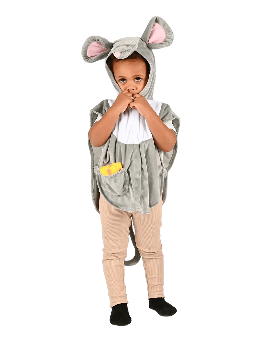 Den goda fen - MINI CAPE MOUSE 1-4 YEARS - kostüümid - grey - 0