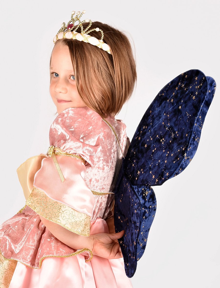 Den goda fen - Fairy Wings - kostüümide aksessuaarid - dark blue - 5
