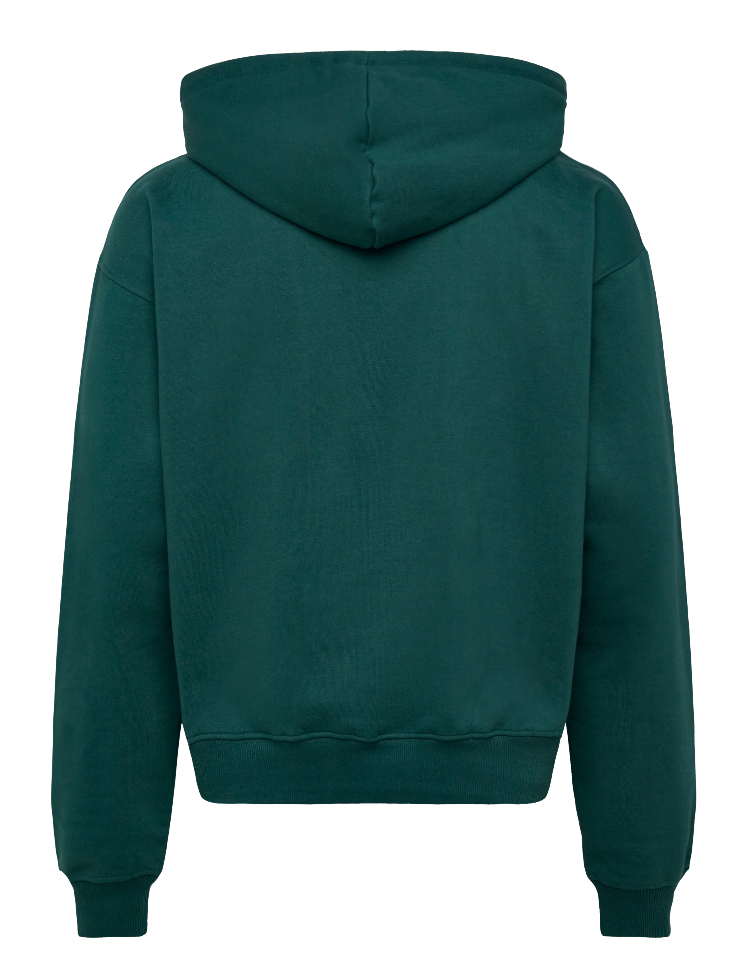 Denim Project - DP CHRIS HOODIE - sweatshirts - petrol - 1