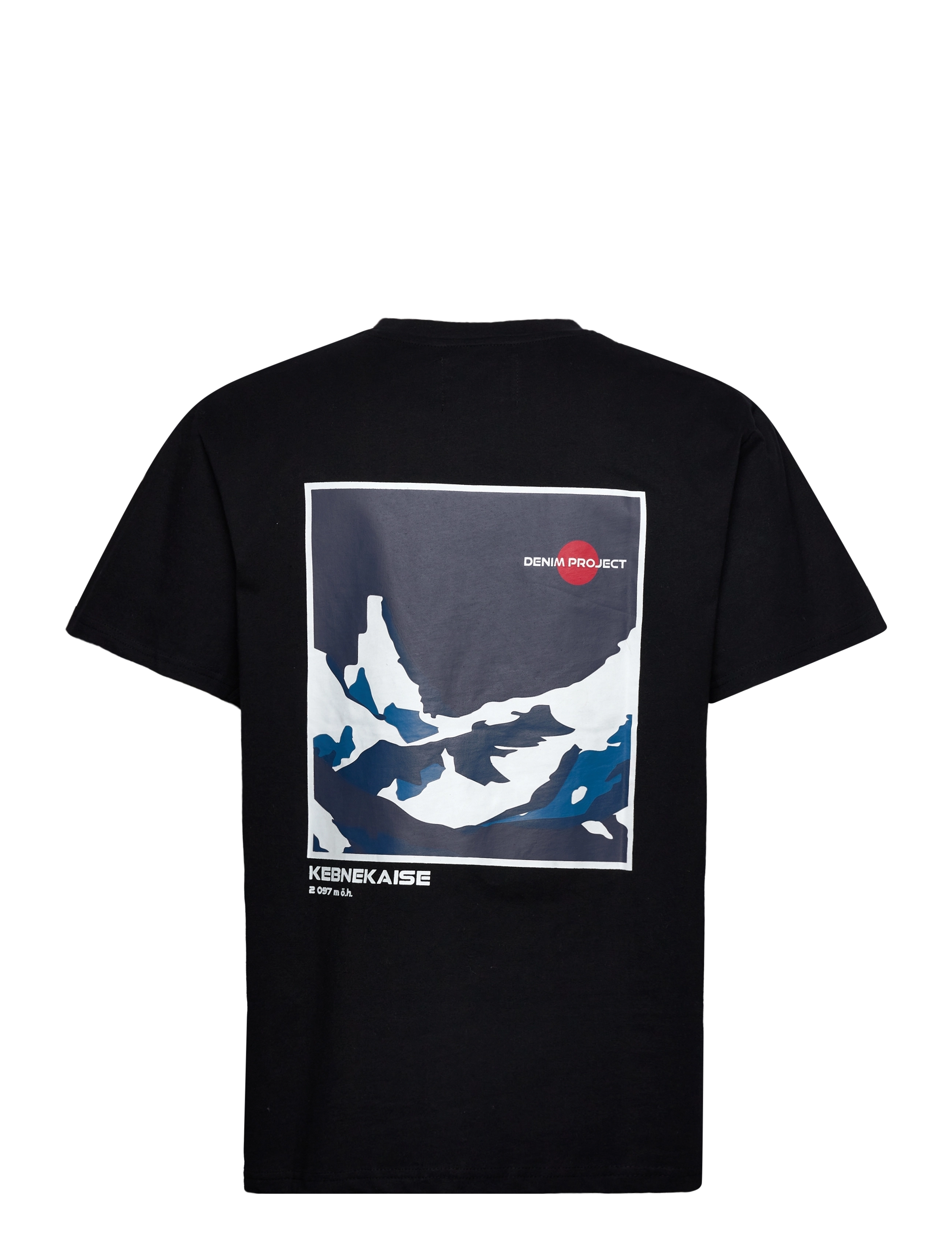 Denim project - DPKEBNEKAISE PRINTED BOXY T-SHIRT - 001 black - 1