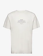 DPRunner T-shirt - GLACIER GREY MELANGE