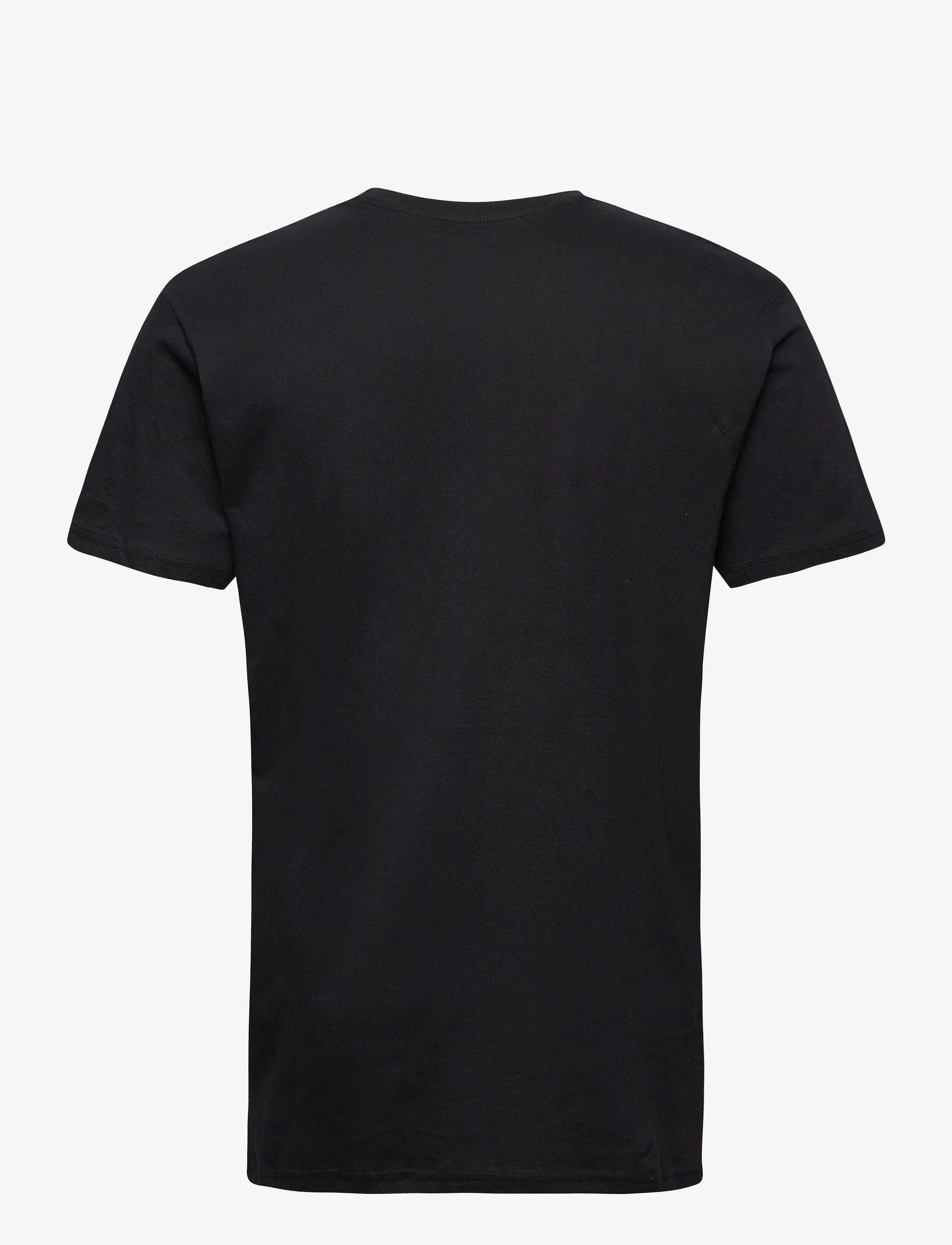 Denim Project - DP 10 Pack T-SHIRT - basic t-shirts - 2xlgm 2x olive night 3xwhite 3x black - 2