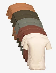 Denim project - 10 Pack T-SHIRT - podstawowe koszulki - 427 earth color mix - 2