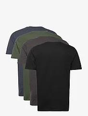 Denim project - 10 Pack T-SHIRT - laisvalaikio marškinėliai - dark mix color - 1