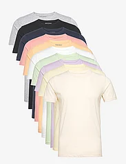 Denim project - 10 Pack T-SHIRT - laisvalaikio marškinėliai - pastell multi mix - 0