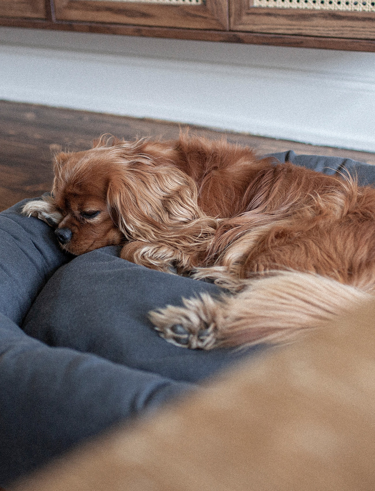 Denjo Dogs - Donut Bed - stone grey - 5