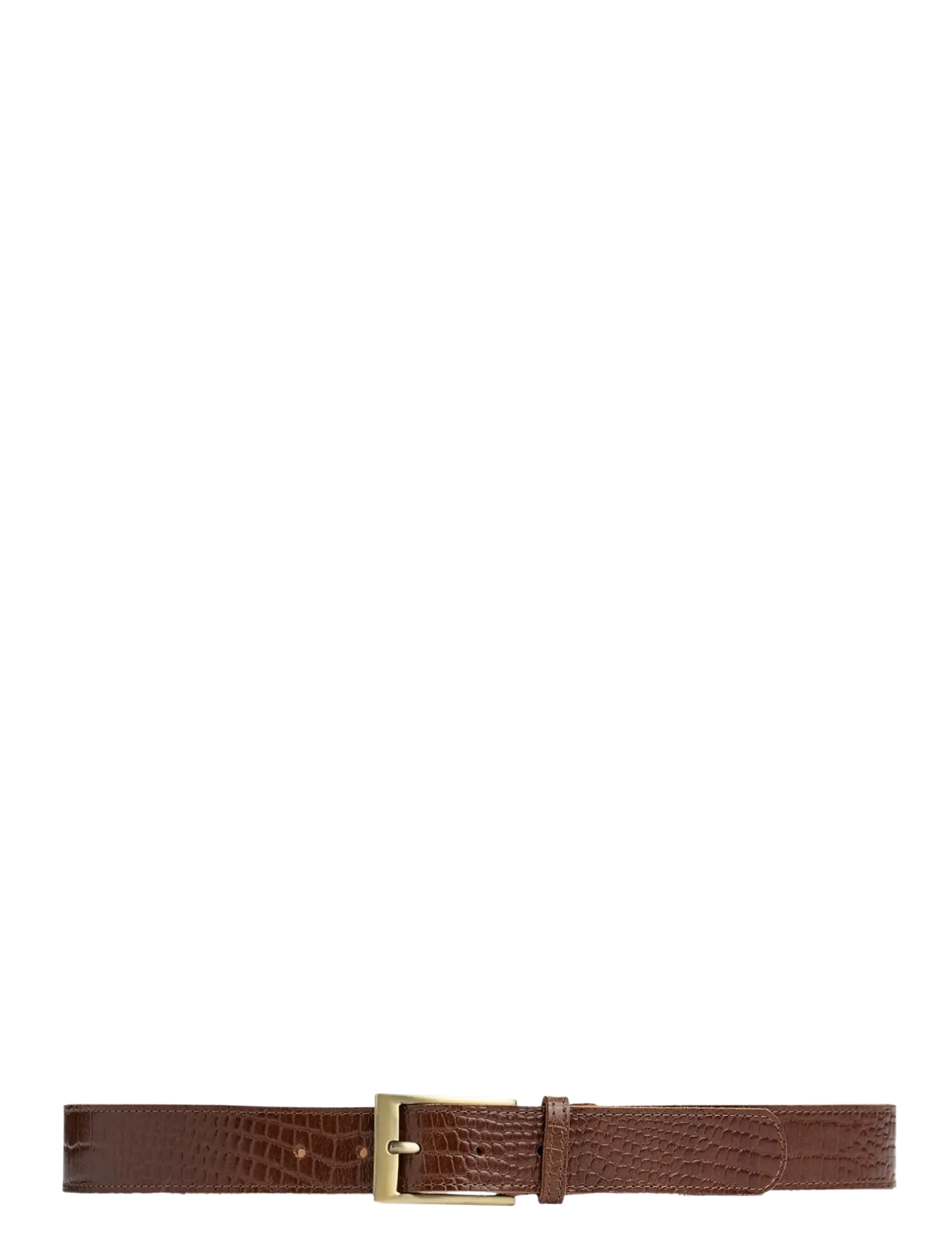 DEPECHE Fashion Favourites Belt - DEPECHE - 326 COGNAC CROCO / brown