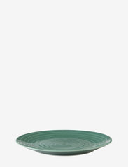Design House Stockholm - Blond Plate coupe - mažiausios kainos - green/stripe - 0