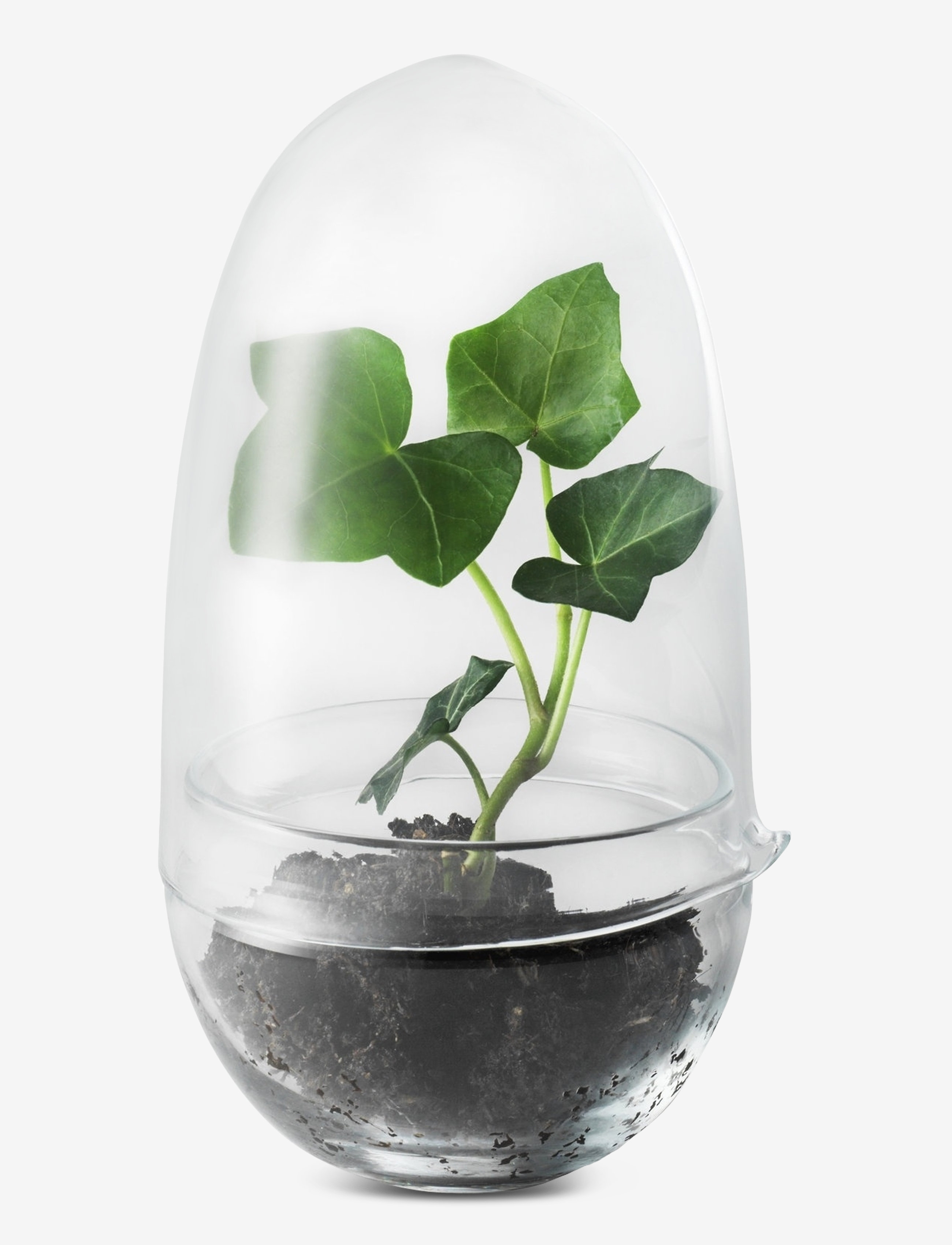 Design House Stockholm Grow Greenhouse, Stor vase, Nude, Str: H14CM