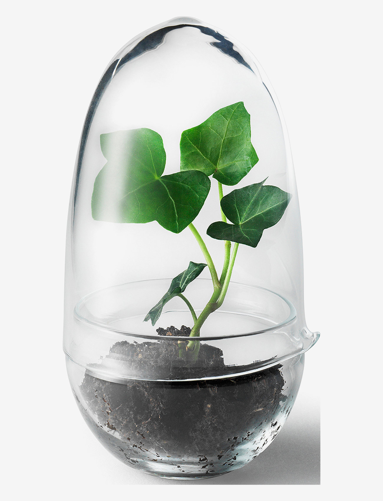 Design House Stockholm - Grow Greenhouse - große vasen - clear - 0