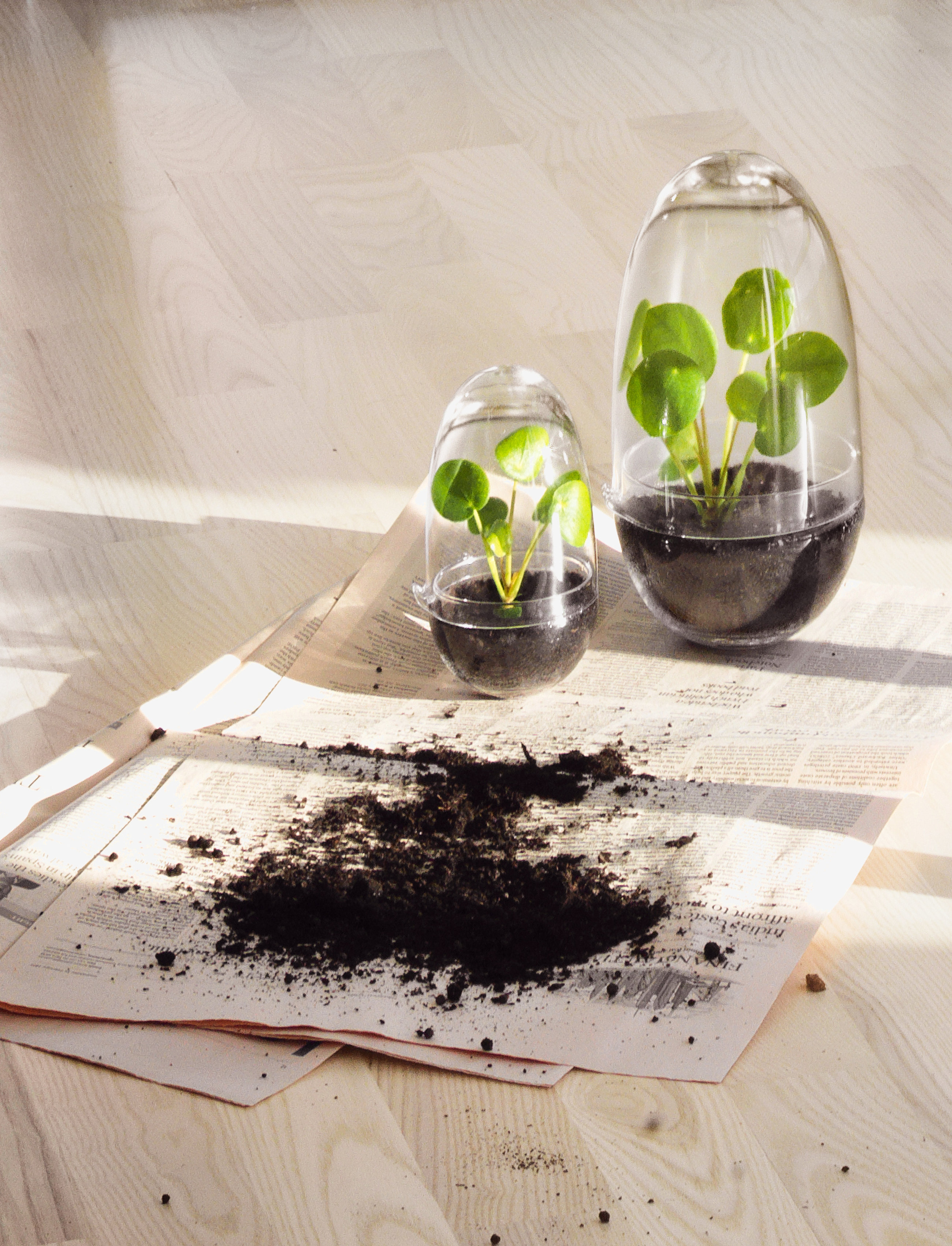 Design House Stockholm - Grow Greenhouse - ystävänpäivälahjat - clear - 2