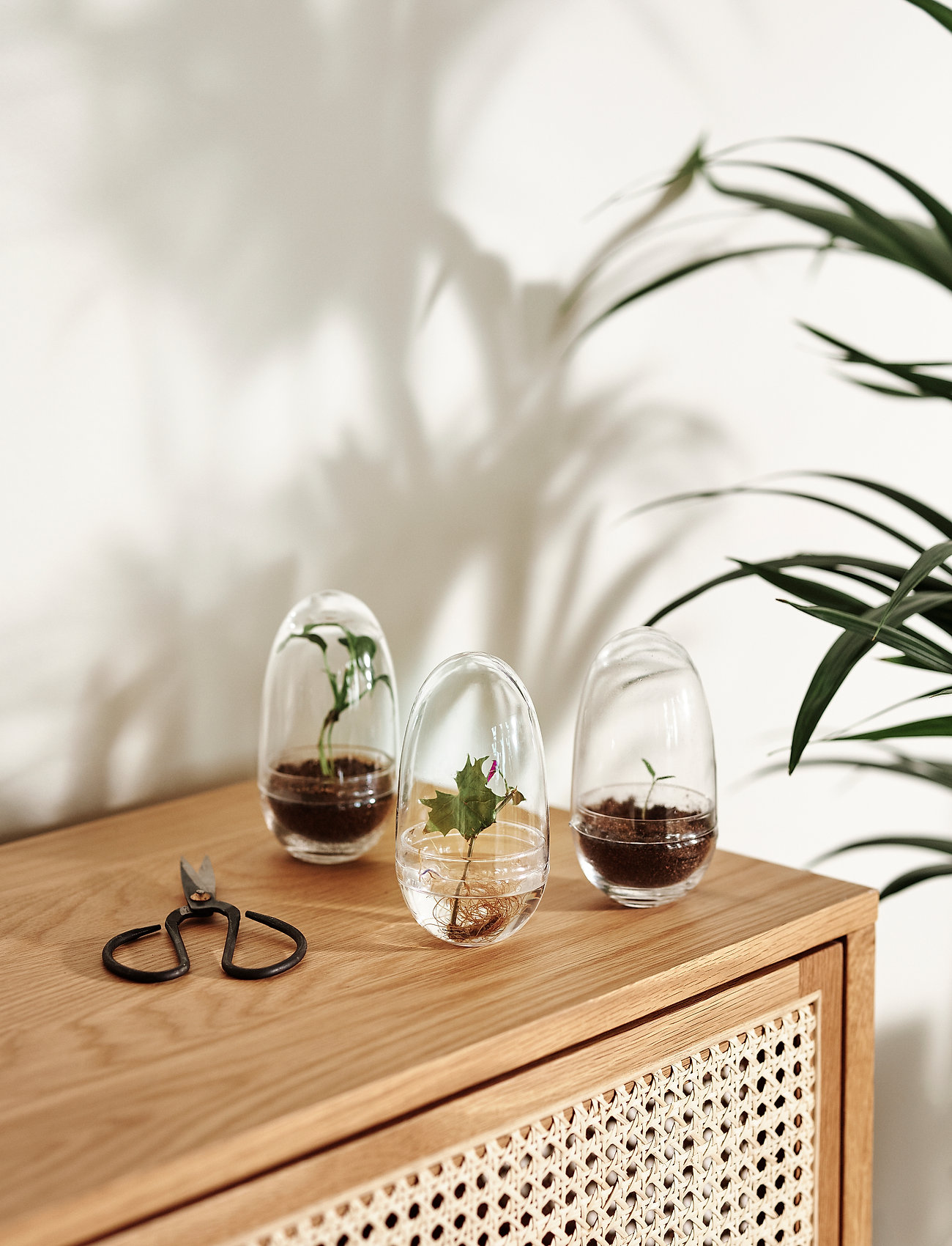 Design House Stockholm Grow Greenhouse, H14 cm, Vases, Nackt - Big Homeware