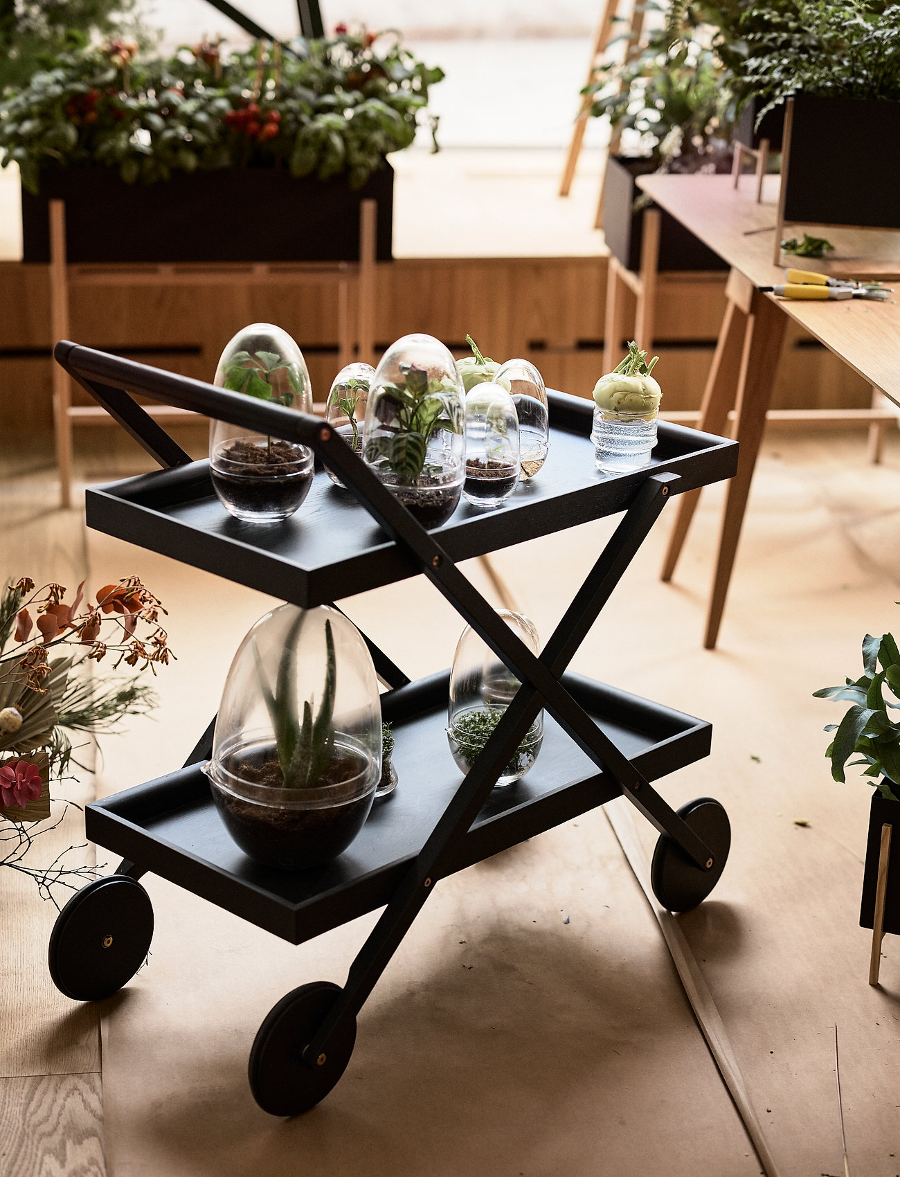 Design House Stockholm - Grow Greenhouse - valentinstaggeschenke - clear - 5