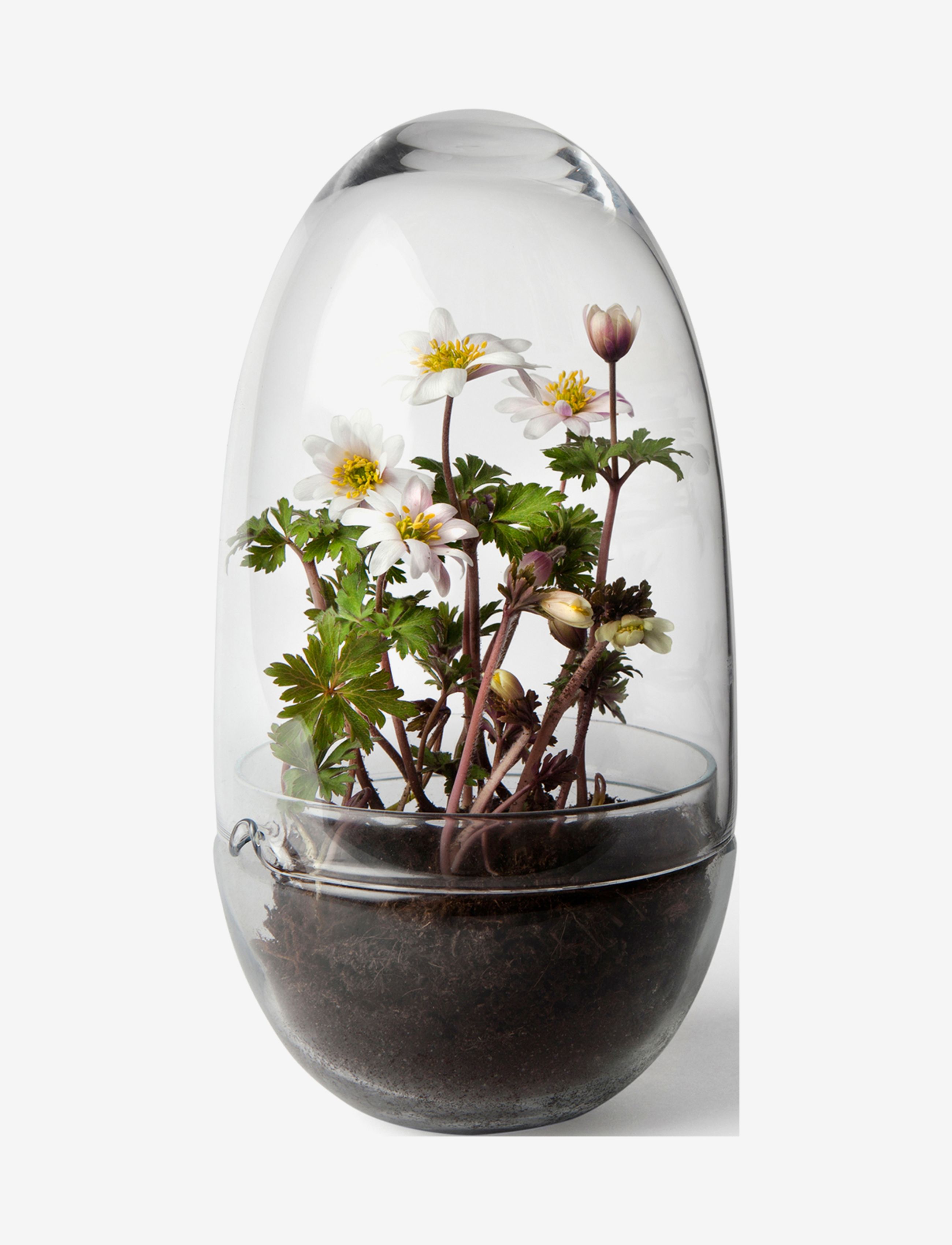 Design House Stockholm Grow Greenhouse Medium, Stor vase, Nude, Str: H24CM
