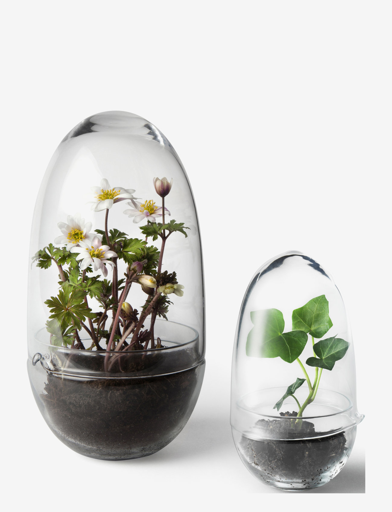 Design House Stockholm - Grow Greenhouse Medium - osta hinnan perusteella - clear - 1