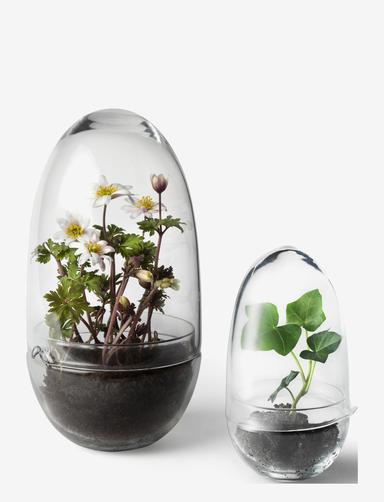 Design House Stockholm - Grow Greenhouse Medium - isot maljakot - clear - 1