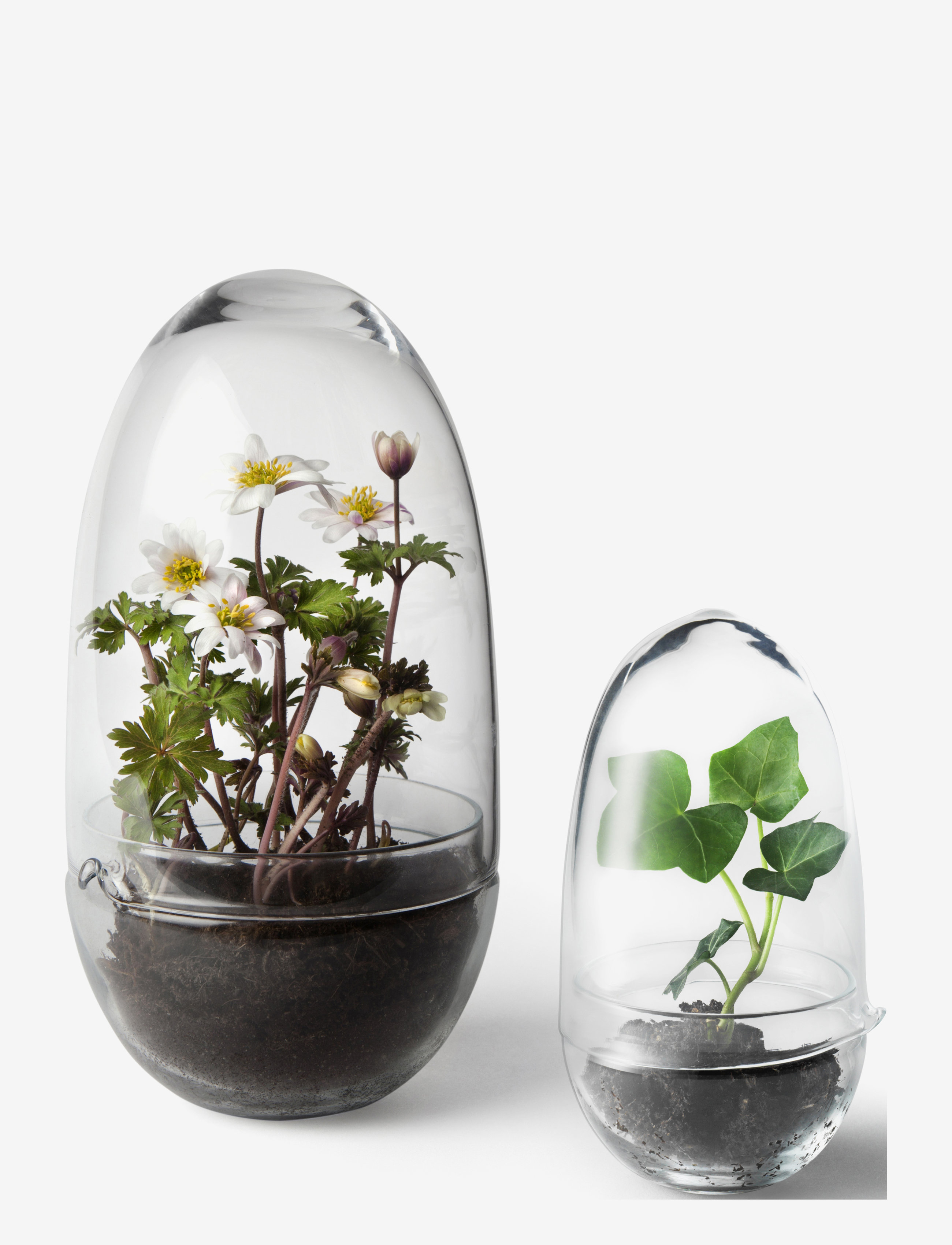 Design House Stockholm - Grow Greenhouse Medium - sõbrapäeva kingitused - clear - 2