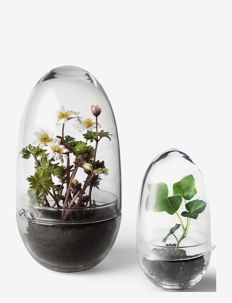 Design House Stockholm - Grow Greenhouse Medium - sõbrapäeva kingitused - clear - 2