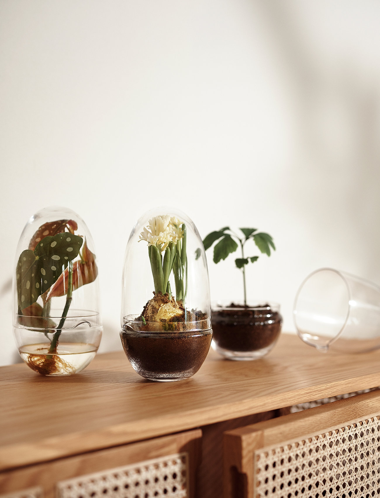 Design House Stockholm Grow Greenhouse Medium, H24 cm, Vases, Nackt - Big Homeware